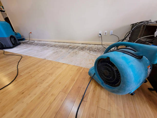 Professional Water Extraction technician working in Altoona, IA